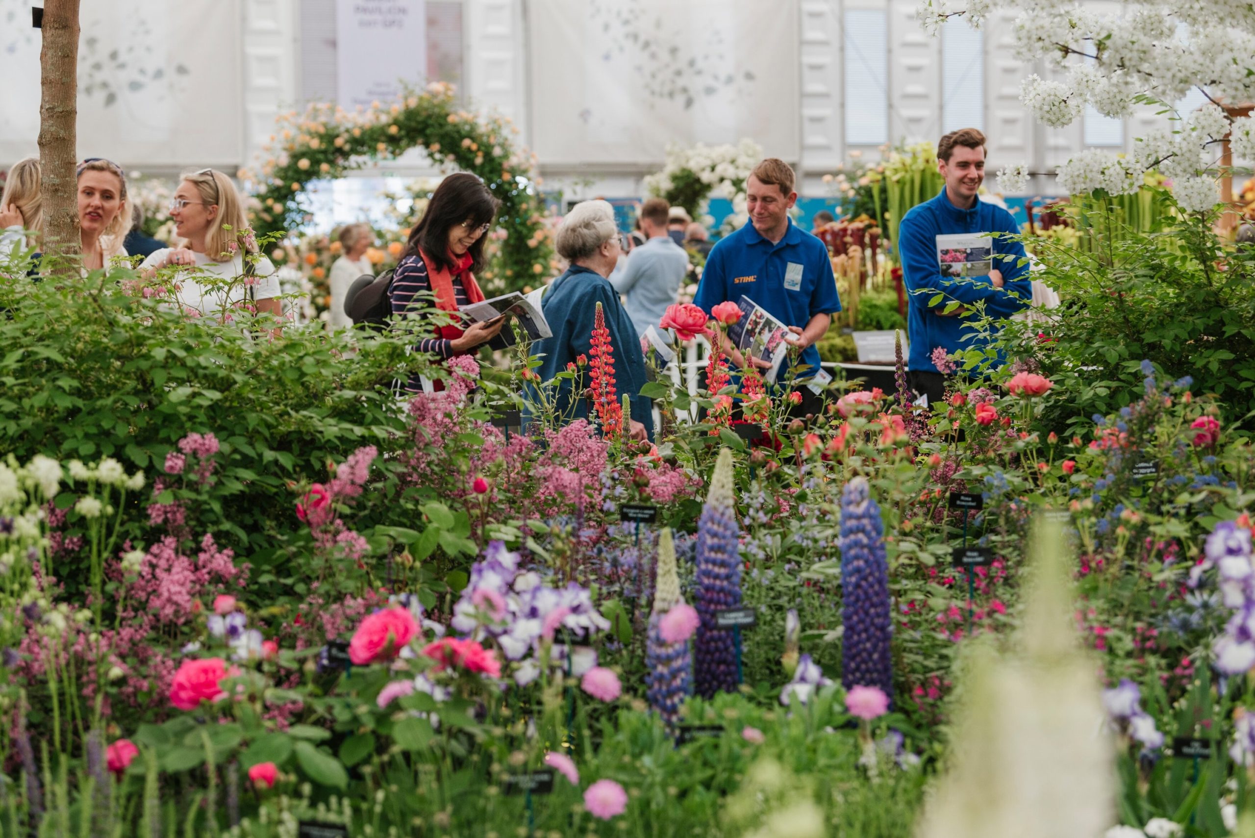British Flower Shows Fundación Hispano Británica FHB