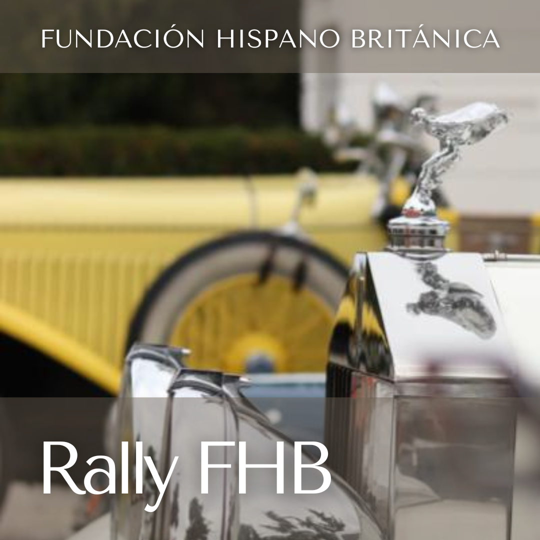 Plantillas FHB (100)